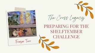 Preparing for the Shelftember Challenge