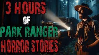 20 TRUE Terrifying Park Ranger &Cryptid Deep Woods Stories |Mega Compilation |Scary Stories To sleep