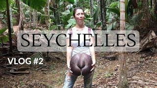 SEYCHELLES HONEYMOON, VLOG #2 - Coco De Mer, Zimbabwe | Dilya London