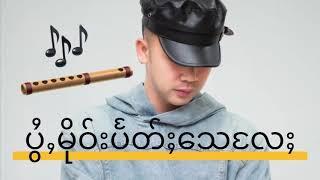 ပွႆႇမိုဝ်းပႅတ်ႈသေလႄႈ - Ngao​ Han​ Fa​ เงาหารฟ้า(Lyrics Video)