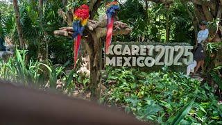 XCARET MEXICO 2025 | DANZA DE MAYAS #xcaret #maya #cancun #shorts #viral #tradicionales # turismo