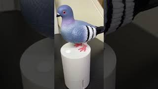 Amazon finds gadgets #kitchen #shop #shopping #hack are #home #house #decor have #viral #reels