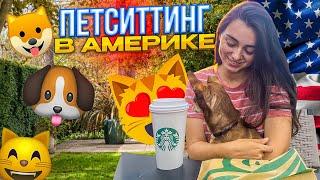 Американцы заплатили, чтобы я пожила в их доме