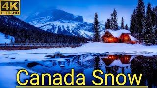 Canada, Snow 4K ULTRA HD HDR 60fps