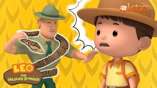 Leo the Wildlife Ranger | HELP There is a Snake in My House!  | Full Episode | @mediacorpokto