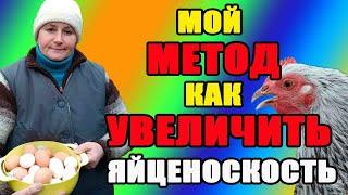 Мой метод, как увеличить яйценоскость кур зимой.