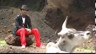 Eritrean old Music 