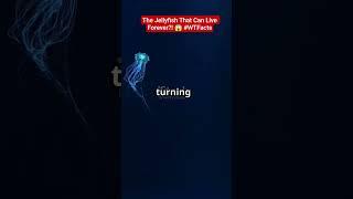 The Jellyfish That Can Live Forever?!  #WTFacts#OceanMysteries#DidYouKnow#shorts