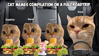 Cat Memes Compilation on a Full Roadtrip