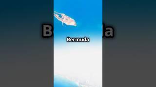 The Mystery of the Bermuda Triangle: Fact or Fiction?   #explore #world #discover  #bermuda #mystery