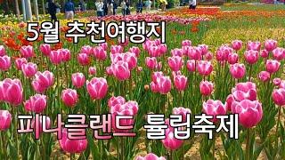 피나클랜드-5월 가장 가볼만한 곳#튤립수선화 축제#바람의 언덕 #원형정원#달빛폭포 #장미정원