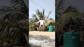 toton all in one#shorts #vido #ytshort