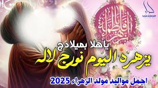 جديد اجمل مواليد مولد الزهراء 2025 ياهلا بميلادج يزهره اليوم نورج لاله " محمد الطيب+سيد حيدر الماجدي