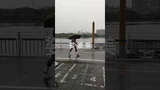 美  娑  婆