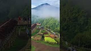 Wisata Panorama Baru, Bukit Tinggi, Sumatera Barat #wisatasumbar #bukittinggi #infowisata