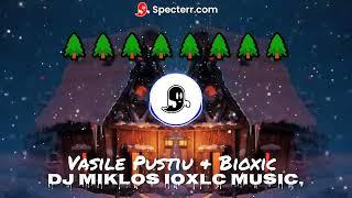 Vasile Pustiu & Bioxic - Colinda Crăciunului (Remix) DJ MIKLOS MUSIC MP REMIX TOXIC 2024️️️