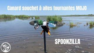 Canard souchet à ailes tournantes électriques SPOONZILLA MOJO - CHASSE EN CAMARGUE