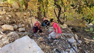 IRAN nomadic life | Collecting acorns in the Kuhgol family garden | Nomadic lifestyle of Iran