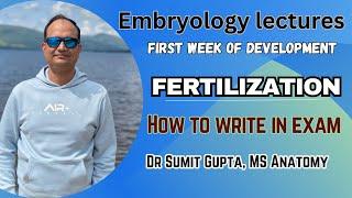 FERTILIZATION : 1st week of development