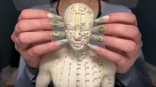 ASMR  This Trigger is going to MELT YOUR BRAIN  Acupuncture Doll Tap & Scratch - No Talking