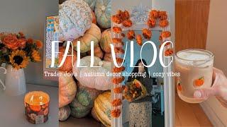 Fall Vlog Autumn is here! getting in the fall mood ️Trader Joe's | Fall shopping | Cozy vibes! 