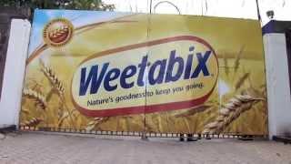 MADE IN KENYA - SEASON 4 - WHEAT BREAKFAST CEREAL BISCUITS - WEETABIX