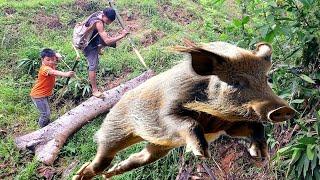 hunting giant wild boar - terrible survive power / multi-day survival trip, part 1