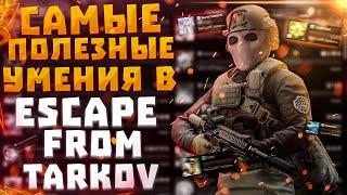 ESCAPE FROM TARKOV | ЭЛИТНЫЕ УМЕНИЯ И КАК ИХ ВЫКАЧИВАТЬ