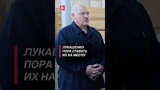 Лукашенко: Пора ставить их на место! #беларусь #лукашенко #батька #политика #новости
