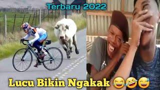 Video Lucu || Video Lucu Bikin Ngakak Sakit Perut || Kursus Bahasa Mandarin || Video Lucu Terbaru