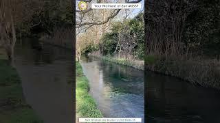ScienceMan Moment of Zen 0557 #peaceful #cotswolds #uk #river #stream #water #asmr