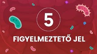 5 figyelmeztető jel, amely a bélflóra károsodására utalhat