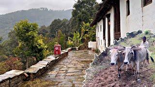 Uttarakhand Village life in Summer !! Slow Village life !!