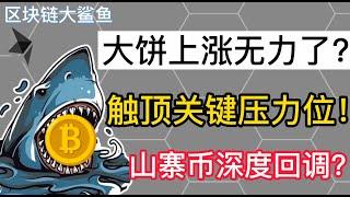 比特币上涨无力了？触顶关键压力位要小心！山寨币深度回调？只能等待回暖  比特币、以太坊、艾达币、波卡、SHIB行情分析