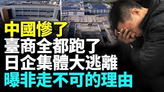 中共仇恨教育反效應 台商跑光光 日企大撤離#勁新聞