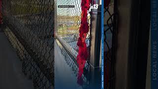 Poppies cover Bicentennial Bridge in honor of veterans