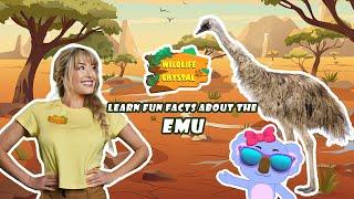 Emu Facts