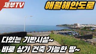 제주도 해안도로 토지 매매,바다 영구 조망을 누릴수 있을 만한 토지입니다 상가주택 짓기 좋아요~제주도 부동산 매물,Jeju House for sale,Korea,제주도부동산TV