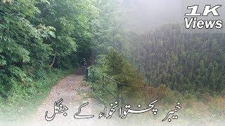 Ayubia National Park | Forest of KPK | Beautiful Pakistan | HDsheet