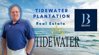 Tidewater Plantation Homes For Sale