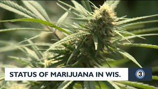 Status of potential marijuana legalization in Wisconsin