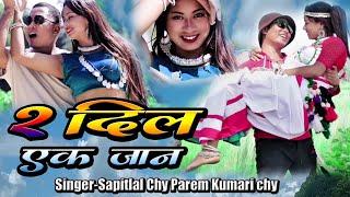 2 Dil Ak Jan | Tharu Song | sapitlal Chaudhary | 2025 new Song