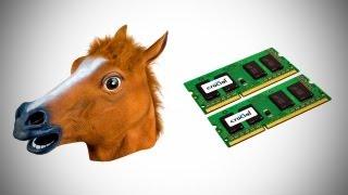 Horse Heads & RAM Upgrades?! (Deal Therapy)