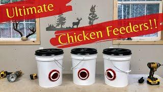 The Ultimate Chicken Feeder