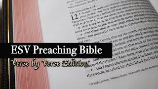 Crossway ESV Preaching Bible | Verse by Verse Edition