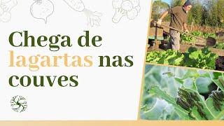 Como Acabar Com a Lagarta na Horta | De Forma Simples e Eficaz