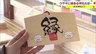 知る人ぞ知る“ウサギ神社”が倉敷に　いったいナゼ？　表にも裏にも…【岡山】 (23/01/09 18:01)