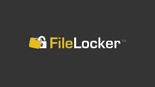 Introduction to FileLocker