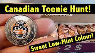 $1K in Canadian $2 Coins - Coin Roll Hunting!