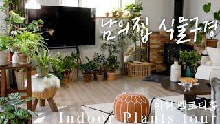 Indoor plants tour house tour Korea 'BellothHome' part2